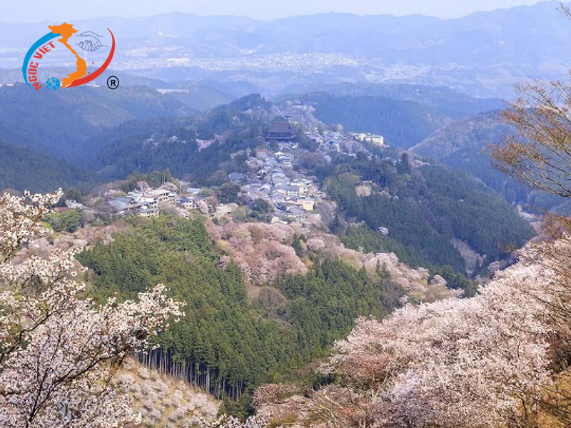 Núi Yoshinoyama Núi Yoshinoyama