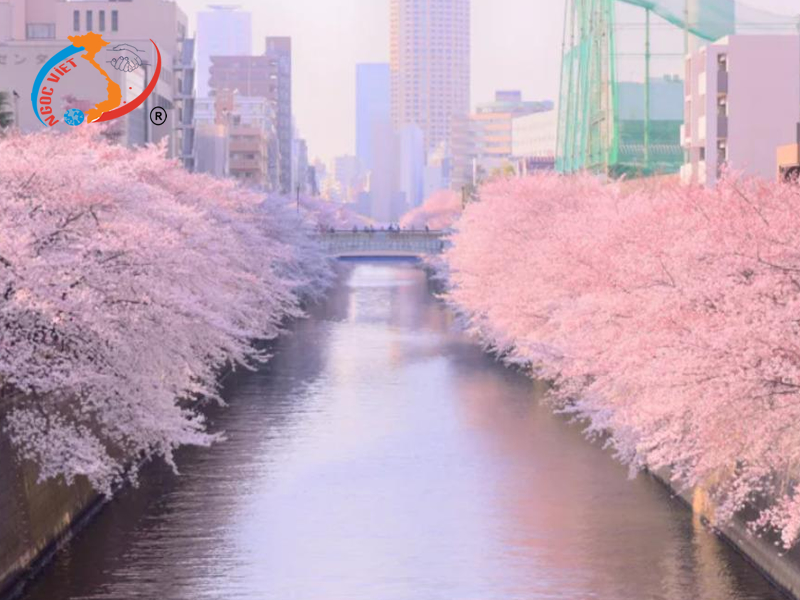 Sông Meguro Sông Meguro