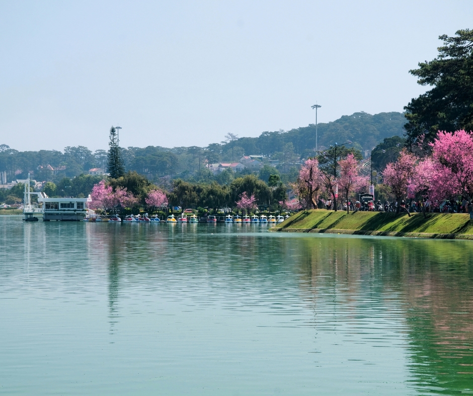 TOUR ĐÀ LẠT - THÀNH PHỐ NGÀN HOA