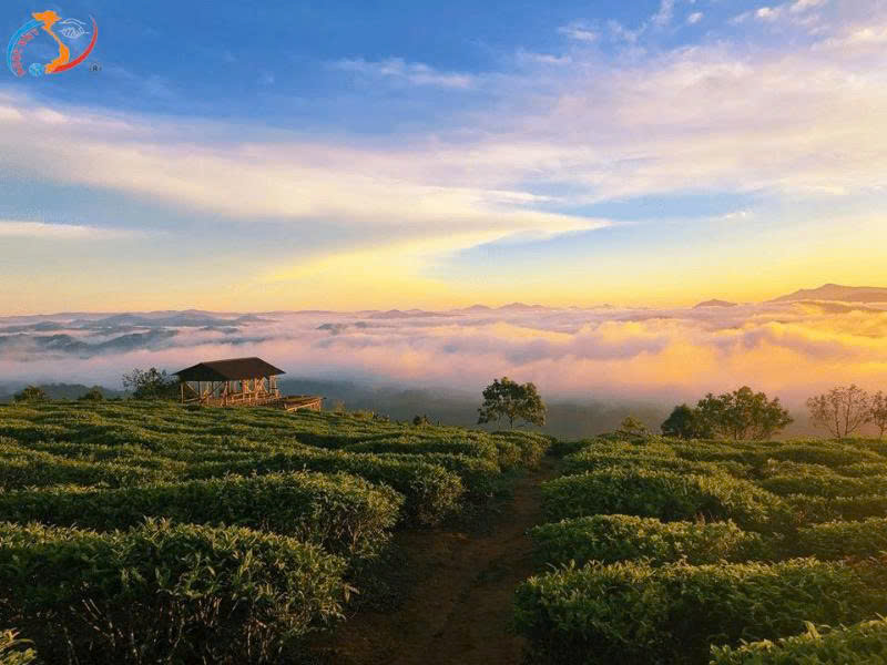 TOUR ĐÀ LẠT - THÀNH PHỐ NGÀN HOA - BESTSELLER THÁNG 10-11-12